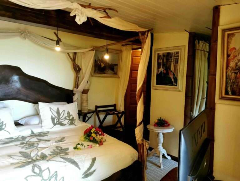 IMG_20220329_144609_edit_423474816023400